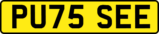 PU75SEE