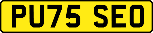 PU75SEO