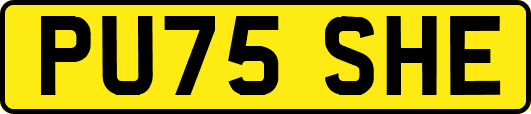 PU75SHE