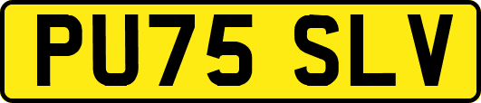 PU75SLV