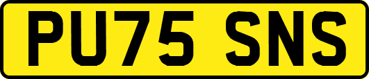 PU75SNS