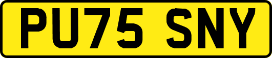 PU75SNY
