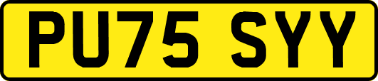 PU75SYY