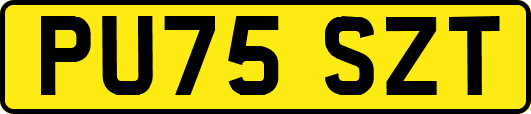 PU75SZT