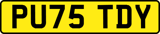 PU75TDY