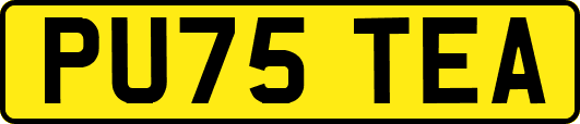 PU75TEA