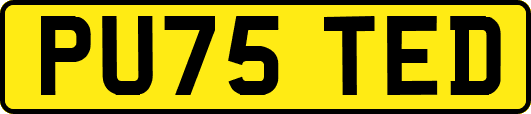 PU75TED