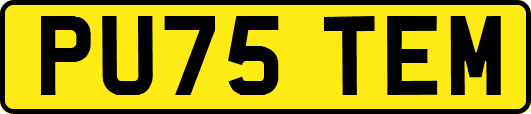 PU75TEM
