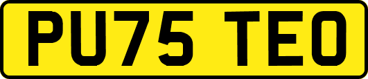 PU75TEO