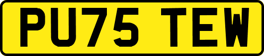 PU75TEW