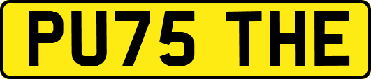 PU75THE