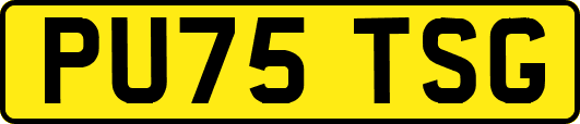 PU75TSG