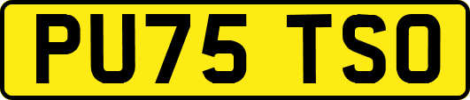 PU75TSO