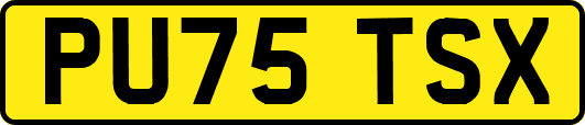 PU75TSX