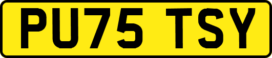 PU75TSY