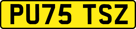 PU75TSZ
