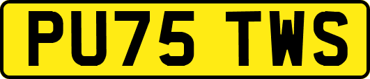 PU75TWS