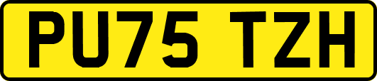 PU75TZH