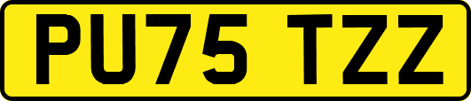 PU75TZZ