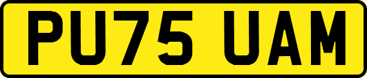 PU75UAM