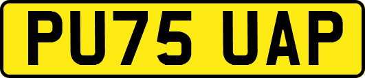 PU75UAP