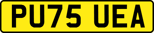 PU75UEA