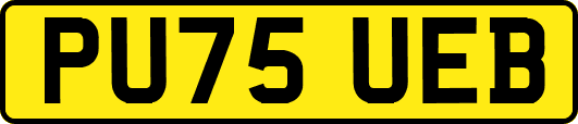 PU75UEB