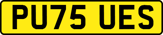 PU75UES