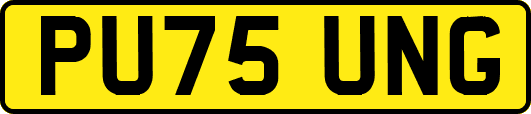 PU75UNG
