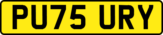 PU75URY