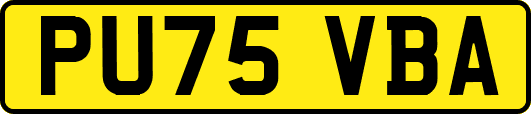 PU75VBA
