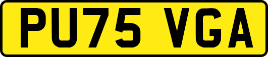 PU75VGA
