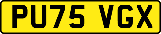 PU75VGX
