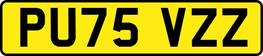 PU75VZZ