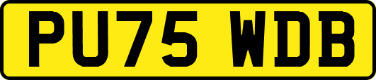 PU75WDB