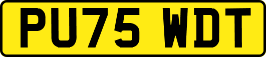 PU75WDT