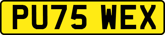 PU75WEX