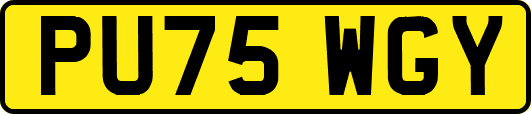 PU75WGY