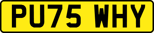 PU75WHY