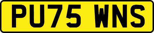 PU75WNS
