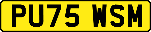 PU75WSM