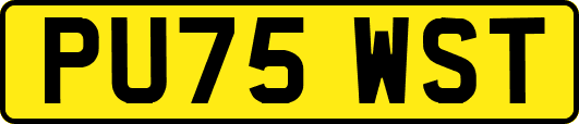 PU75WST