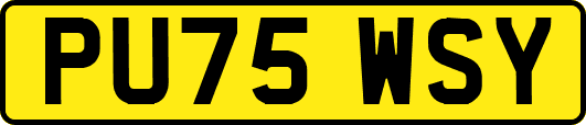 PU75WSY
