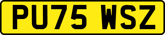 PU75WSZ