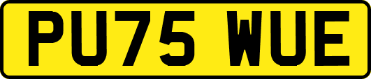 PU75WUE