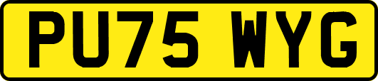 PU75WYG