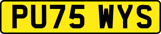 PU75WYS