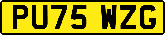 PU75WZG