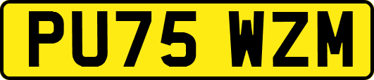 PU75WZM