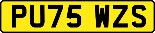 PU75WZS